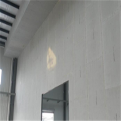 长子宁波ALC板|EPS加气板隔墙与混凝土整浇联接的实验研讨